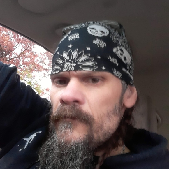 Free to good home - Picture 14 of 16